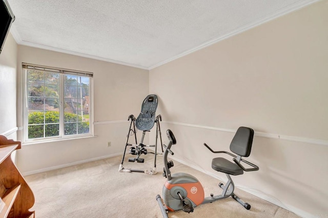 exercise room with ornamental molding, carpet, and a textured ceiling