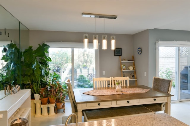 dining room featuring a healthy amount of sunlight