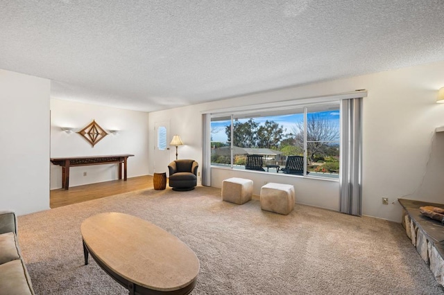 living area featuring a textured ceiling