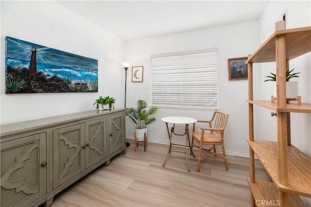 living area featuring light wood-type flooring