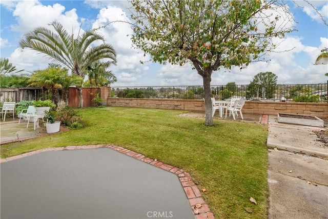 view of yard featuring a patio area