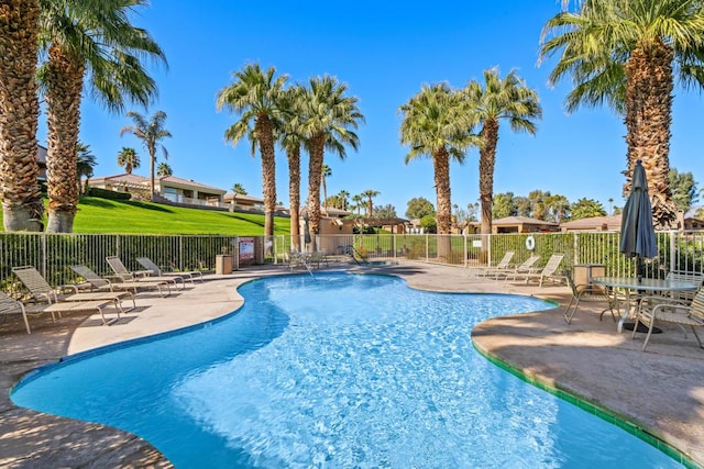 view of swimming pool featuring a patio area