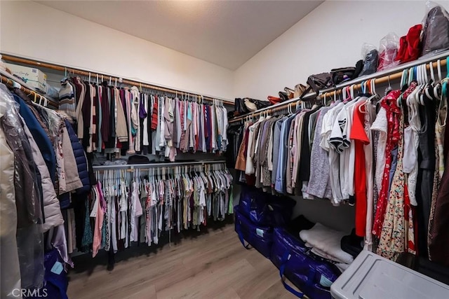 spacious closet featuring vaulted ceiling and wood finished floors