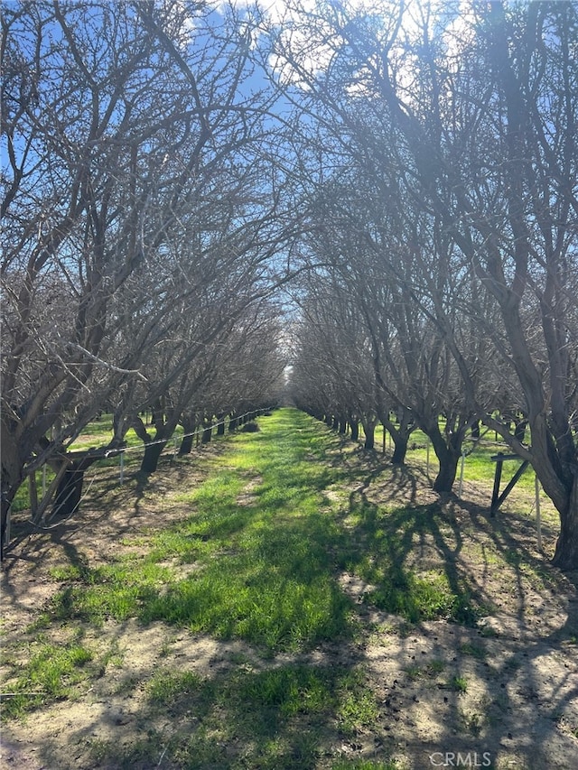 1 W Marmon Ave, Coalinga CA, 93210 land for sale