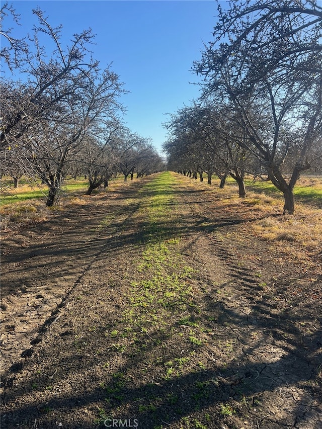 1 American Ave, Firebaugh CA, 93622 land for sale