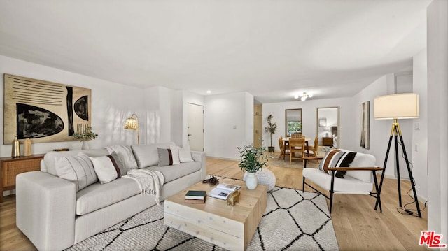 living room with light hardwood / wood-style flooring