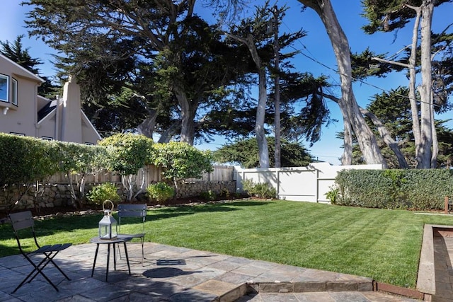 view of yard featuring a patio