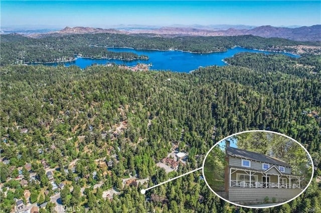 855 Lake Dr, Lake Arrowhead, CA 92352 - photo 55