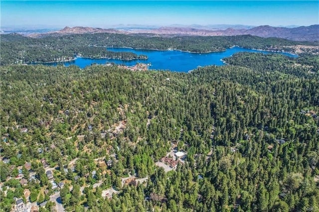 drone / aerial view with a water and mountain view