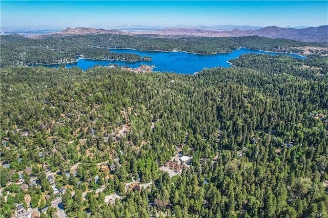 855 Lake Dr, Lake Arrowhead, CA 92352 - drone / aerial view of a forest and a water and mountain view