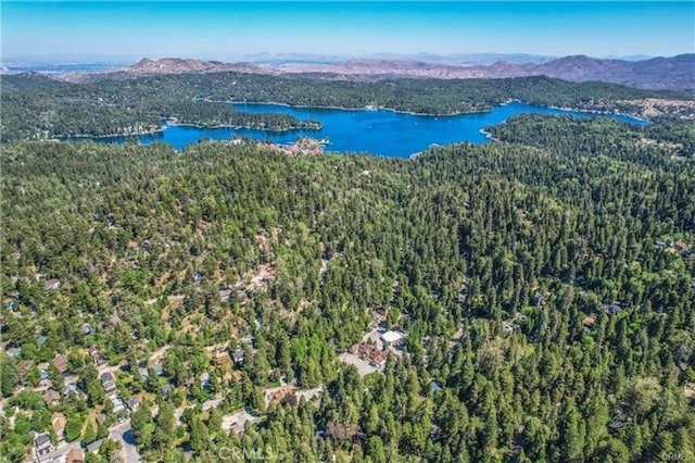 855 Lake Dr, Lake Arrowhead, CA 92352 - photo 51