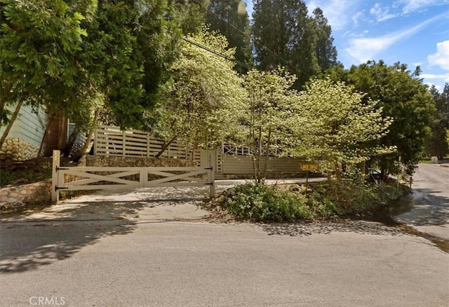 855 Lake Dr, Lake Arrowhead, CA 92352 - view of gate
