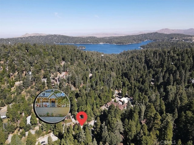 855 Lake Dr, Lake Arrowhead, CA 92352 - drone / aerial view of a heavily wooded area and a water and mountain view