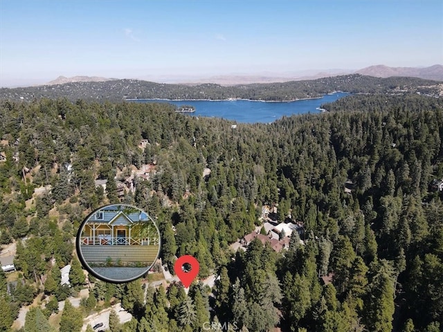 855 Lake Dr, Lake Arrowhead, CA 92352 - photo 53