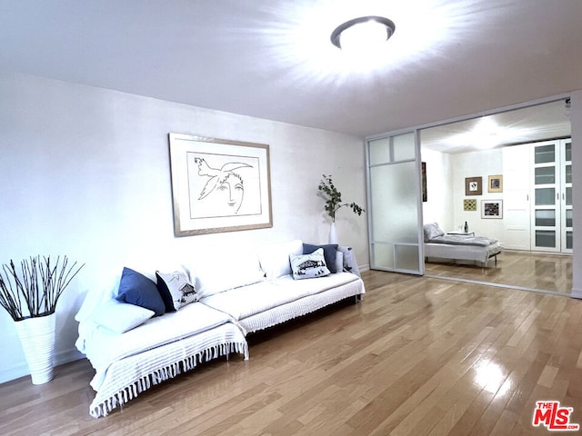 living room featuring wood-type flooring