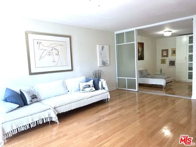 living room featuring hardwood / wood-style floors