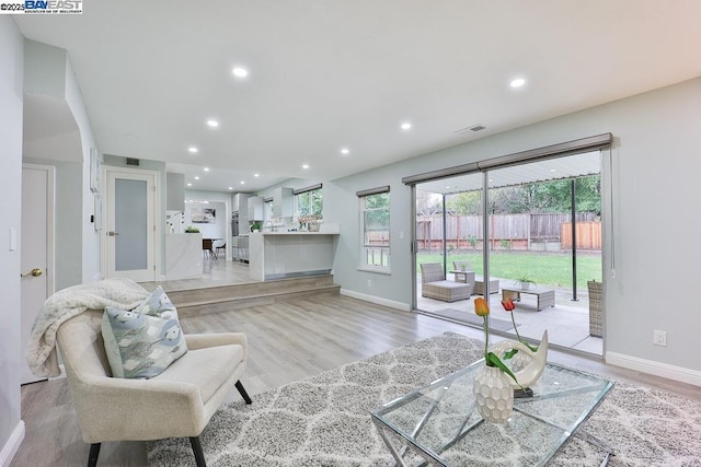 living room featuring light hardwood / wood-style floors