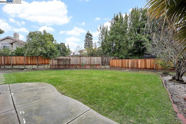 view of yard featuring a patio area