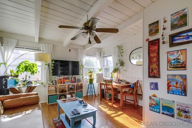 living room featuring ceiling fan, beam ceiling, and hardwood / wood-style floors