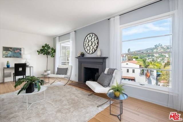 interior space with a fireplace, a healthy amount of sunlight, and light wood-type flooring