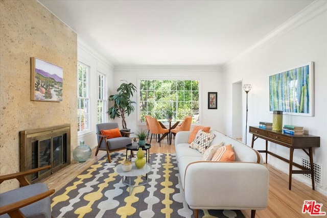 living room featuring crown molding, a large fireplace, and light hardwood / wood-style flooring