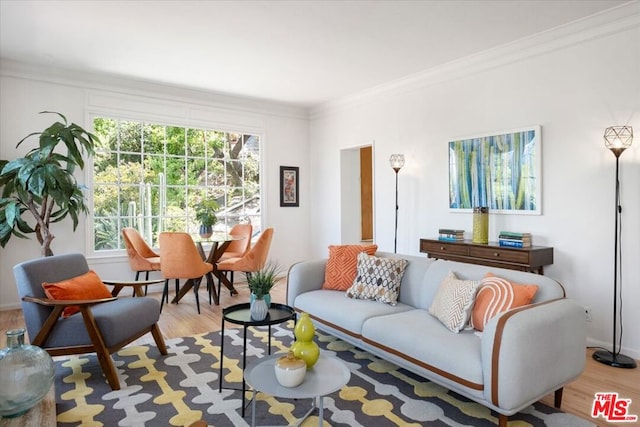 living room with ornamental molding and light hardwood / wood-style floors