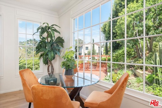 sunroom with plenty of natural light