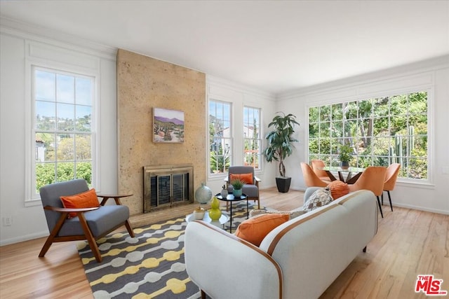 living room with light hardwood / wood-style flooring, a large fireplace, and a healthy amount of sunlight