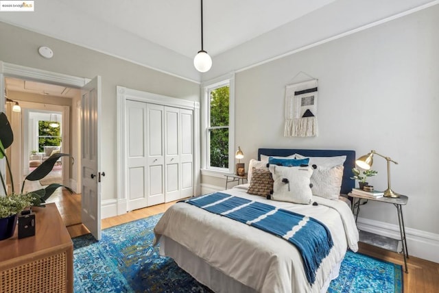 bedroom featuring multiple windows, wood-type flooring, and a closet