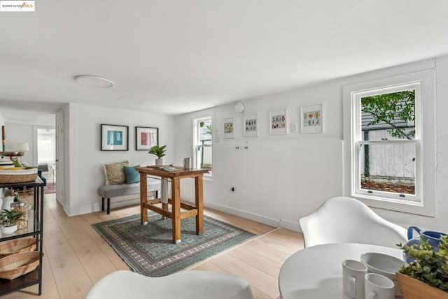 living room featuring light wood-type flooring