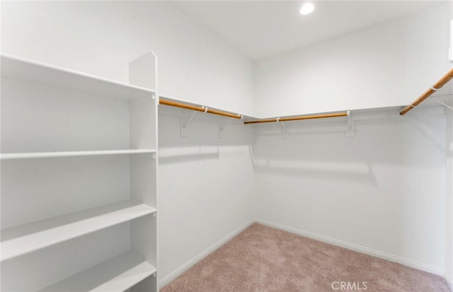 walk in closet featuring light colored carpet