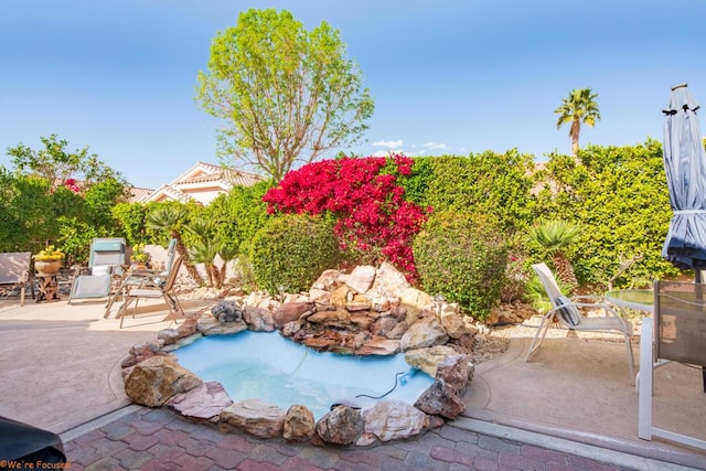 view of swimming pool featuring a patio area