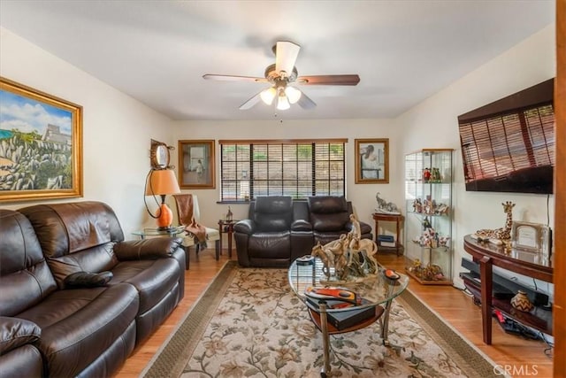 living room featuring ceiling fan and light wood-type flooring