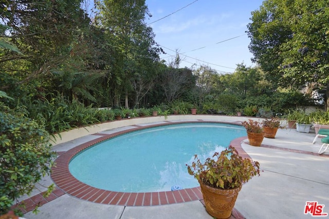 view of swimming pool with a patio