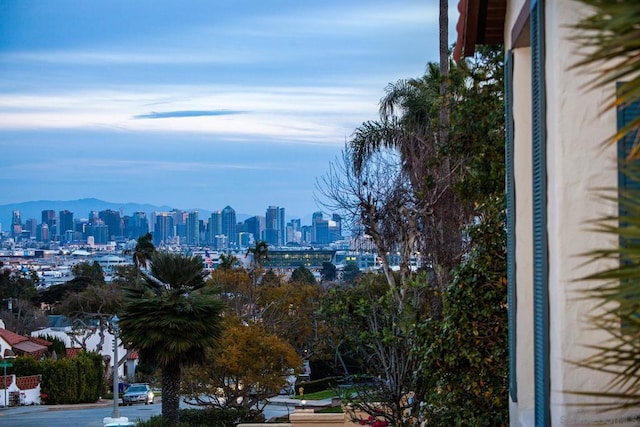 city view with a mountain view