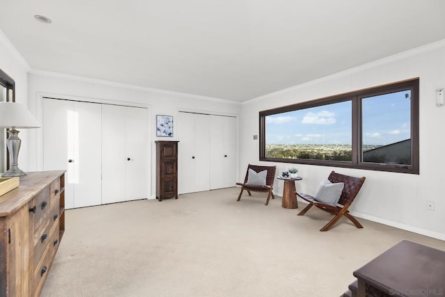 living area with ornamental molding and light colored carpet