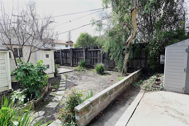 view of yard featuring a shed and a patio area