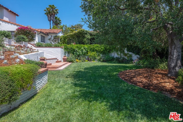 view of yard with a patio