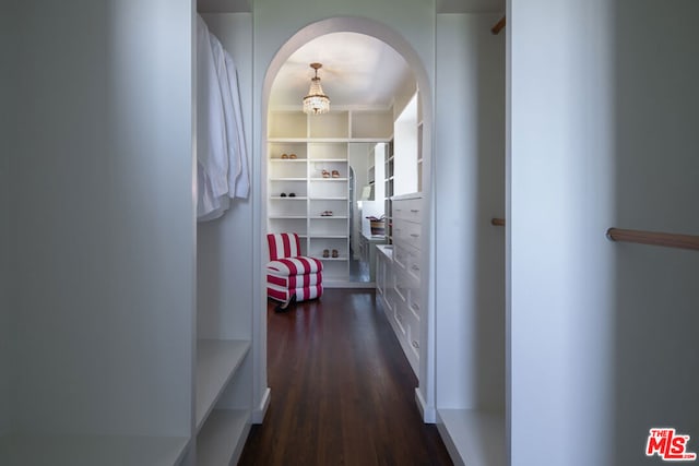 corridor with dark wood-type flooring