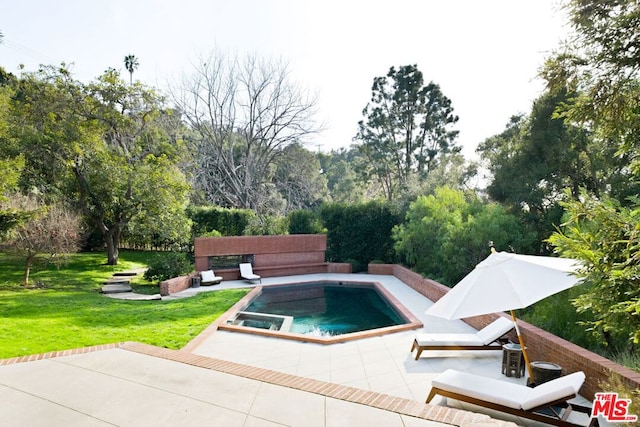 view of swimming pool featuring a patio and a yard