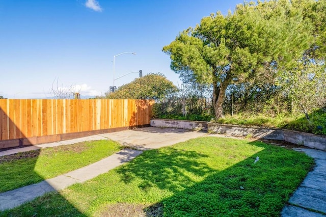 view of yard with a patio area