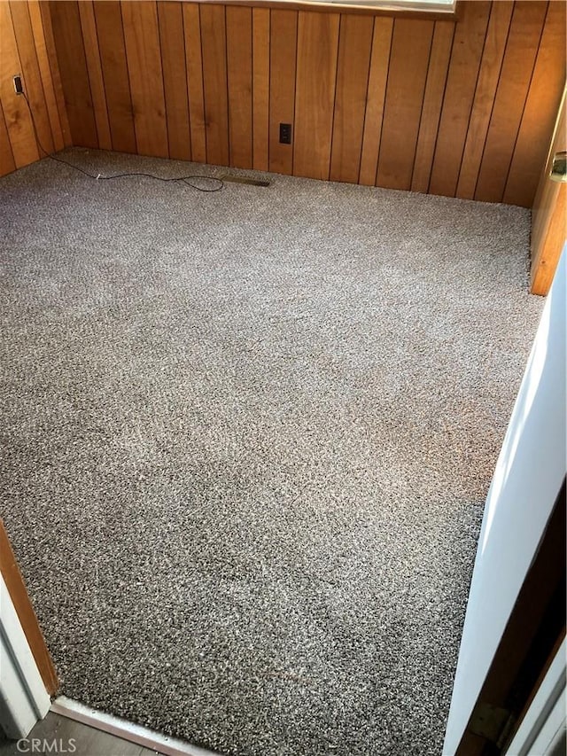 room details featuring carpet flooring and wood walls