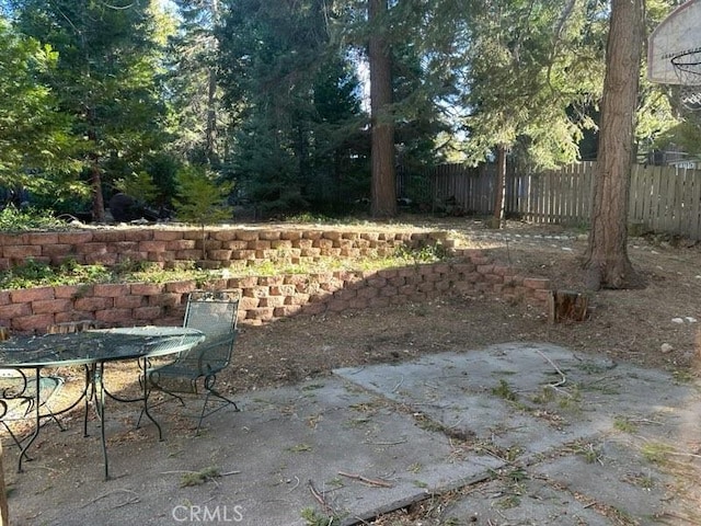 view of yard with a patio area