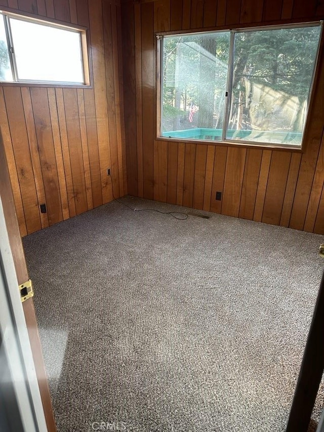 carpeted empty room featuring wood walls