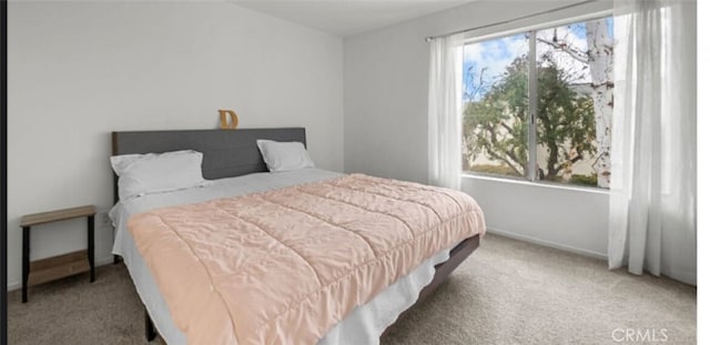 view of carpeted bedroom