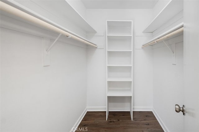 walk in closet with dark wood-type flooring