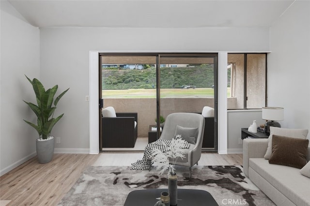 living room with light hardwood / wood-style floors