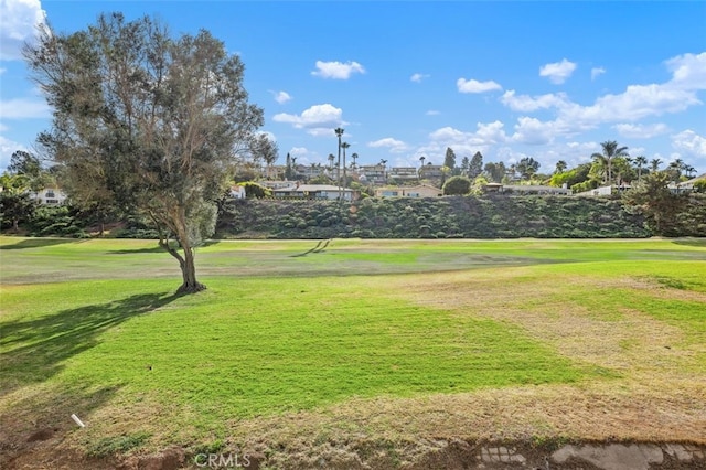 view of community with a yard