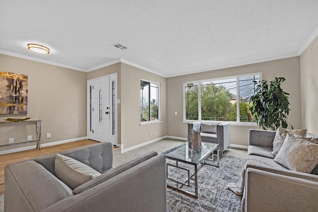 living room with ornamental molding, wood-type flooring, and a textured ceiling