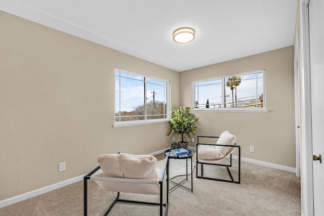 sitting room with light carpet